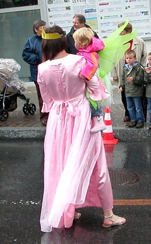 Cortège nuit des fées